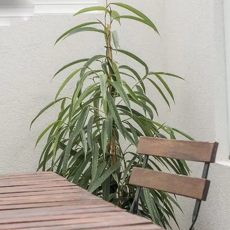 Portodouro - Ribeira * Oporto