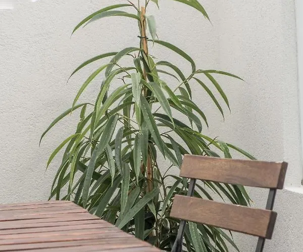 Portodouro - Ribeira * 포르투